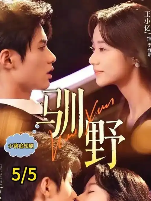 边境来信 剧集在线观看